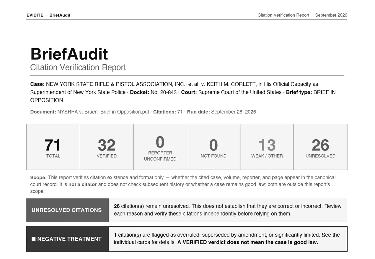 The first page of a BriefAudit citation verification report
