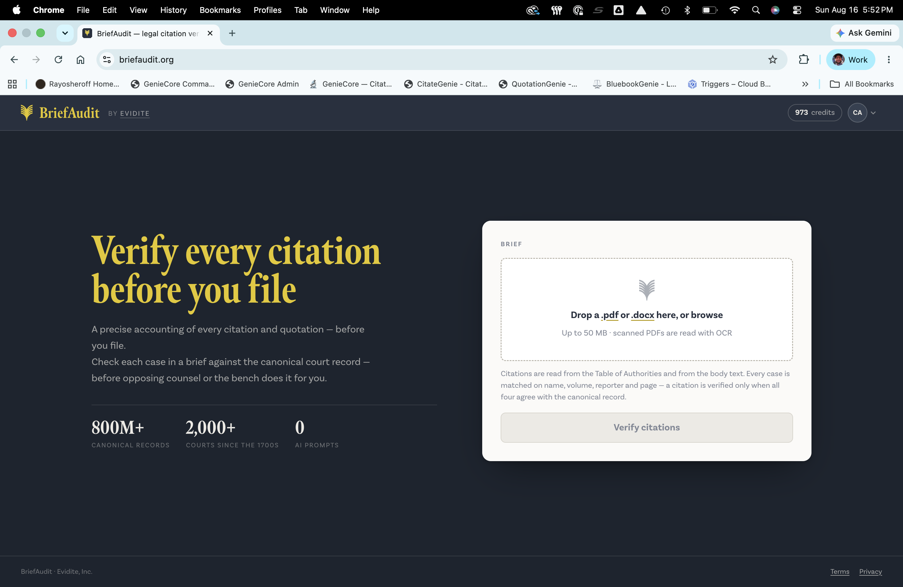BriefAudit citation and quotation audit interface